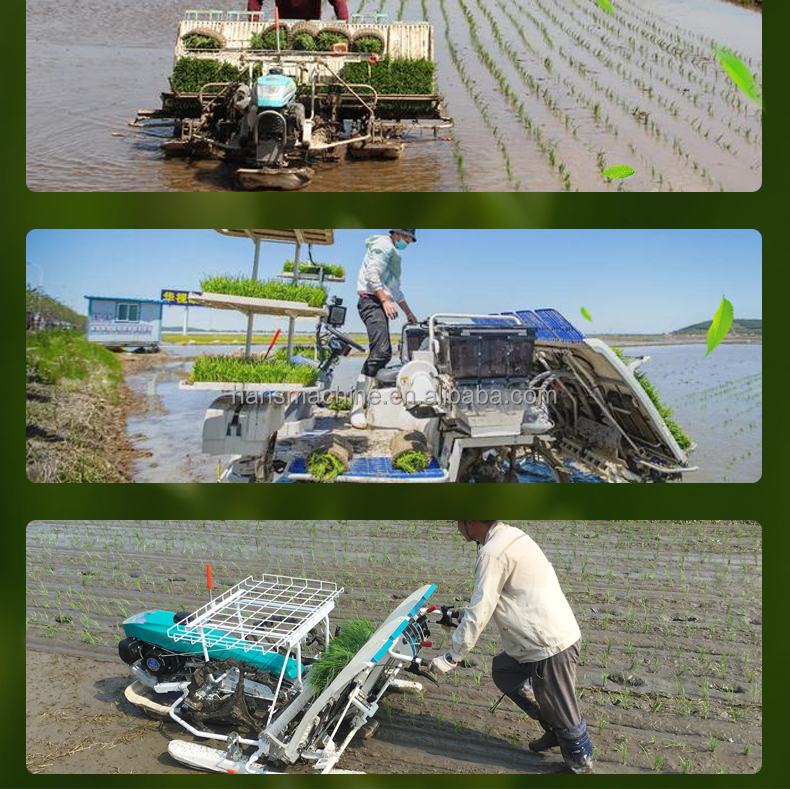 Applications of Rice Transplanter